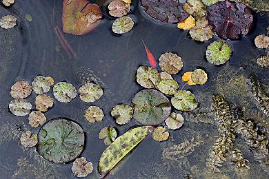 Xbox玩家现可更改地区为新西兰游玩《生化危机4：重制版》